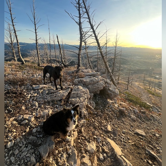 Meet your Posher, Sara - Picture 1 of 1